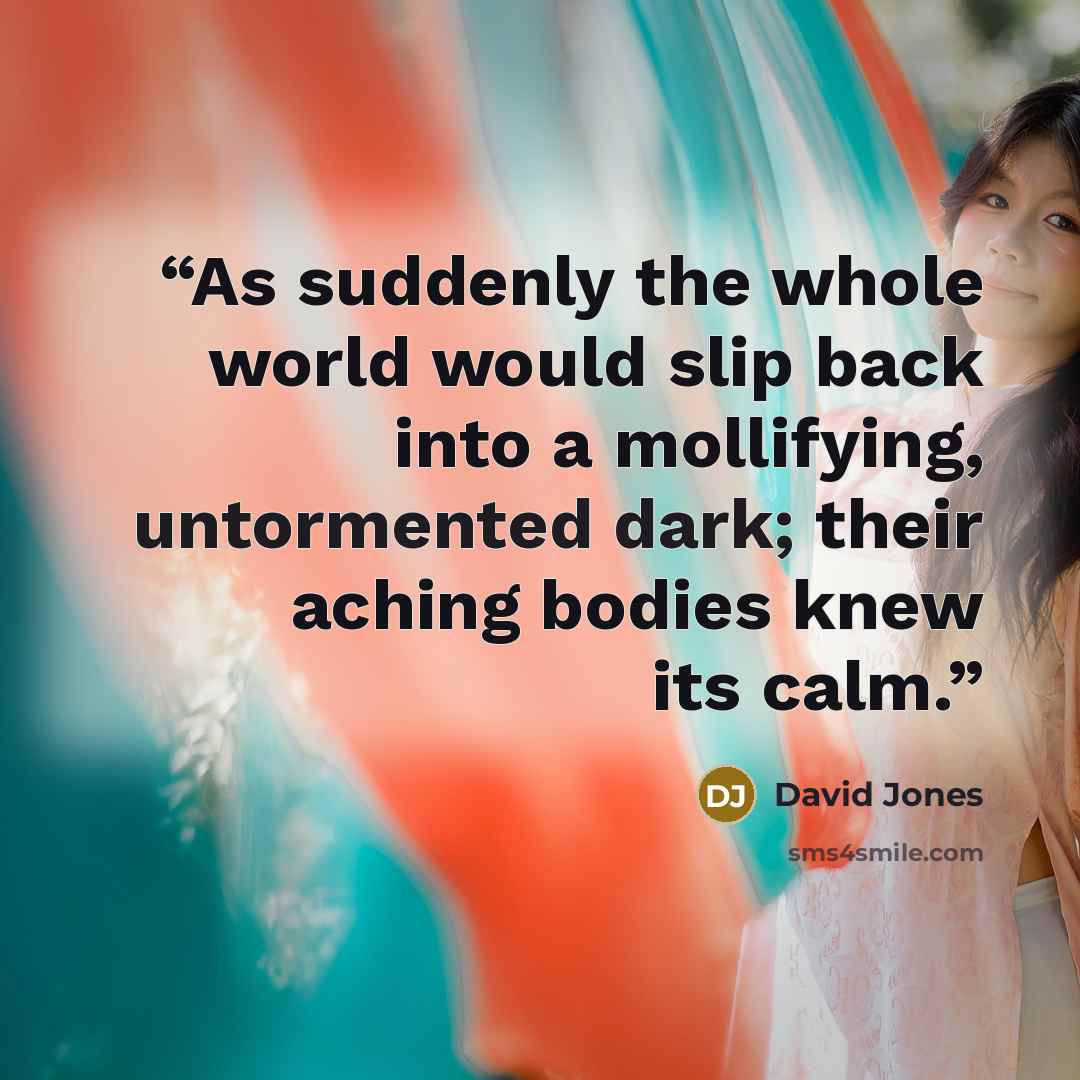 “As suddenly the whole world would slip back into a mollifying, untormented dark; their aching bodies knew its calm.” quote by David Jones