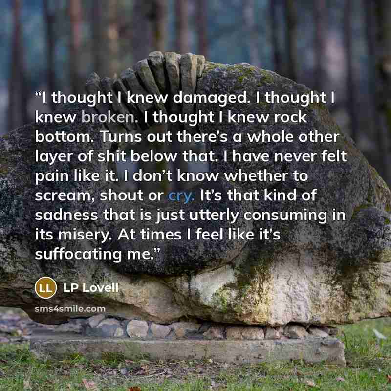 “I thought I knew damaged. I thought I knew broken. I thought I knew rock bottom. Turns out there’s a whole other layer of shit below that. I have never felt pain like it. I don’t know whether to scream, shout or cry. It’s that kind of sadness that is just utterly consuming in its misery. At times…” quote by LP Lovell