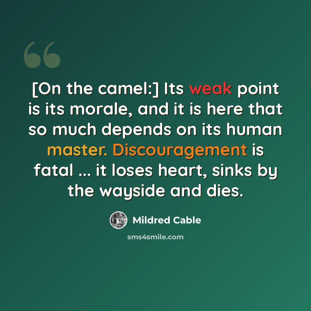 “[On the camel:] Its weak point is its morale, and it is here that so much depends on its human master. Discouragement is fatal ... it loses heart, sinks by the wayside and dies.” quote by Mildred Cable