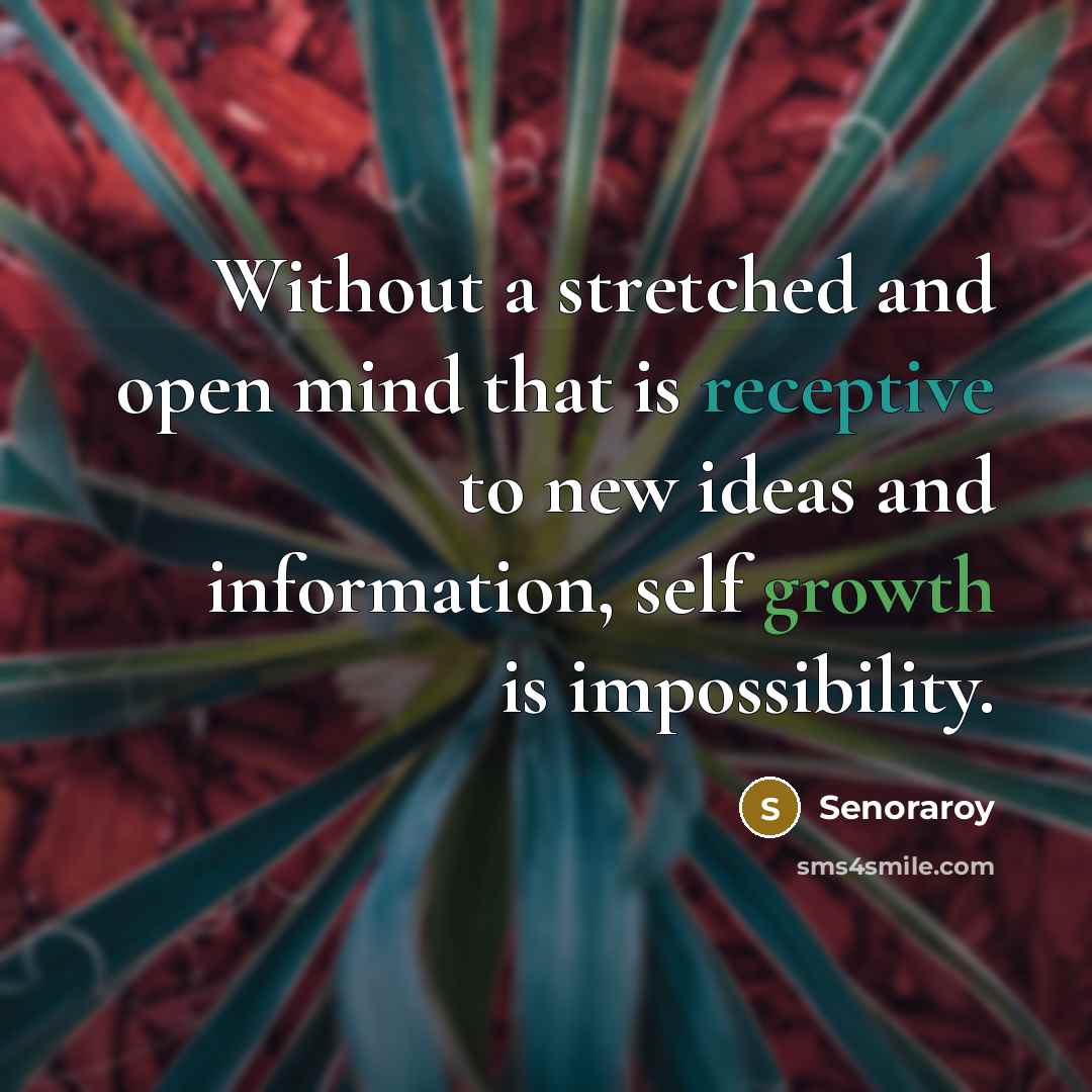 “Without a stretched and open mind that is receptive to new ideas and information, self growth is impossibility.” quote by Senoraroy