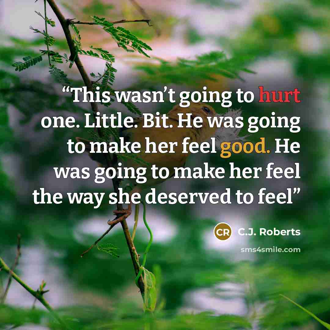 “This wasn’t going to hurt one. Little. Bit. He was going to make her feel good. He was going to make her feel the way she deserved to feel” quote by C.J. Roberts