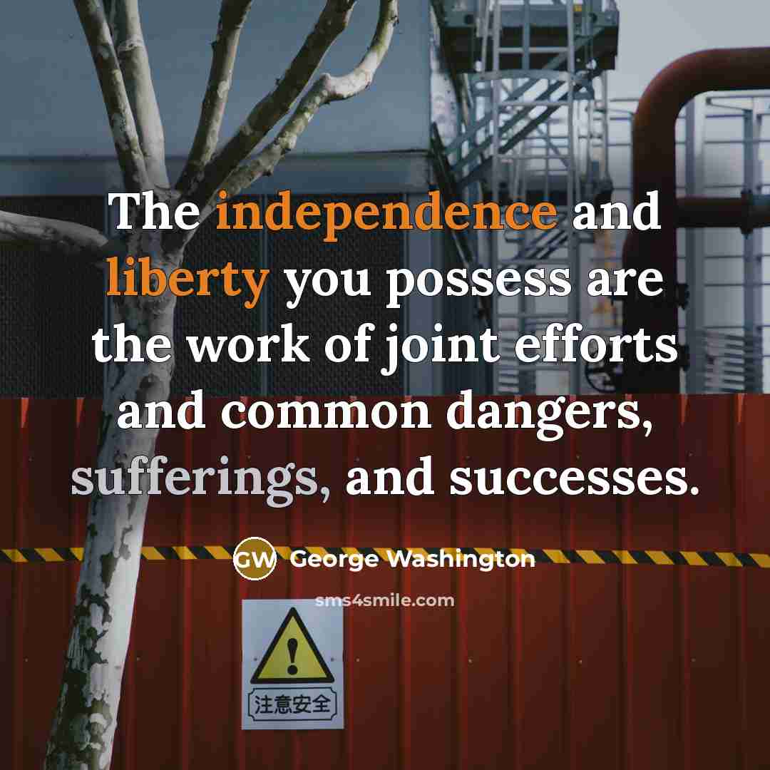 “The independence and liberty you possess are the work of joint efforts and common dangers, sufferings, and successes.” quote by George Washington