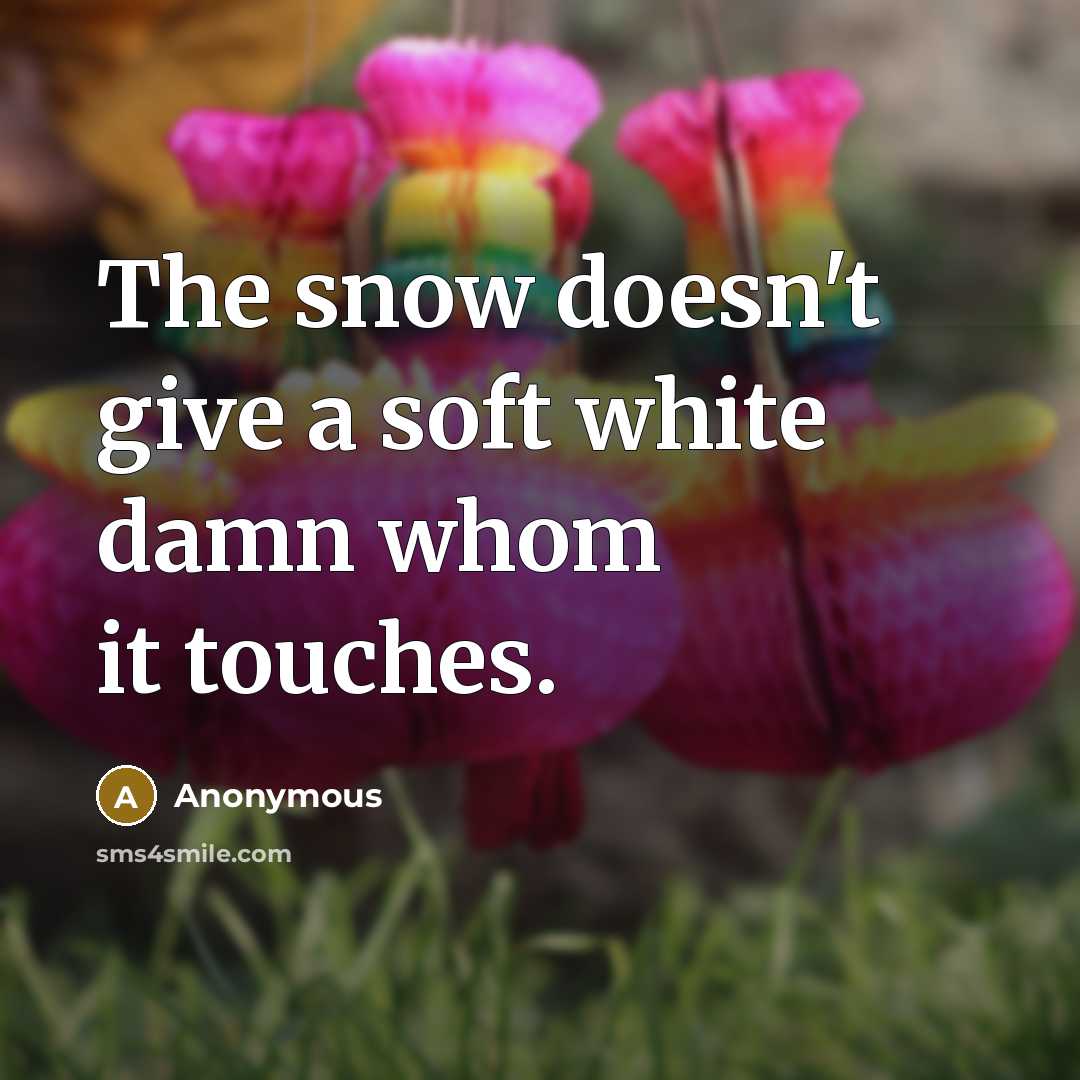 “The snow doesn't give a soft white damn whom it touches.” quote by Anonymous