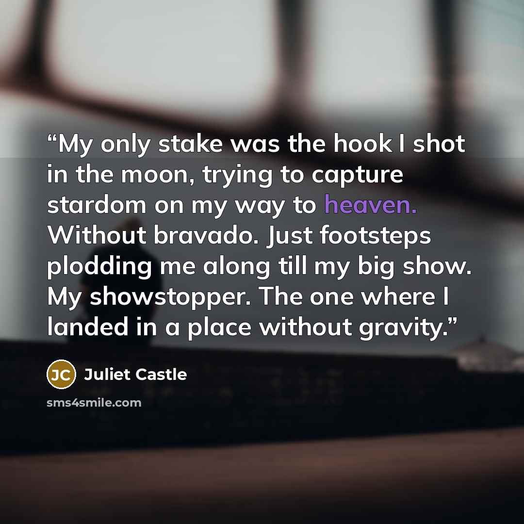 “My only stake was the hook I shot in the moon, trying to capture stardom on my way to heaven. Without bravado. Just footsteps plodding me along till my big show. My showstopper. The one where I landed in a place without gravity.” quote by Juliet Castle