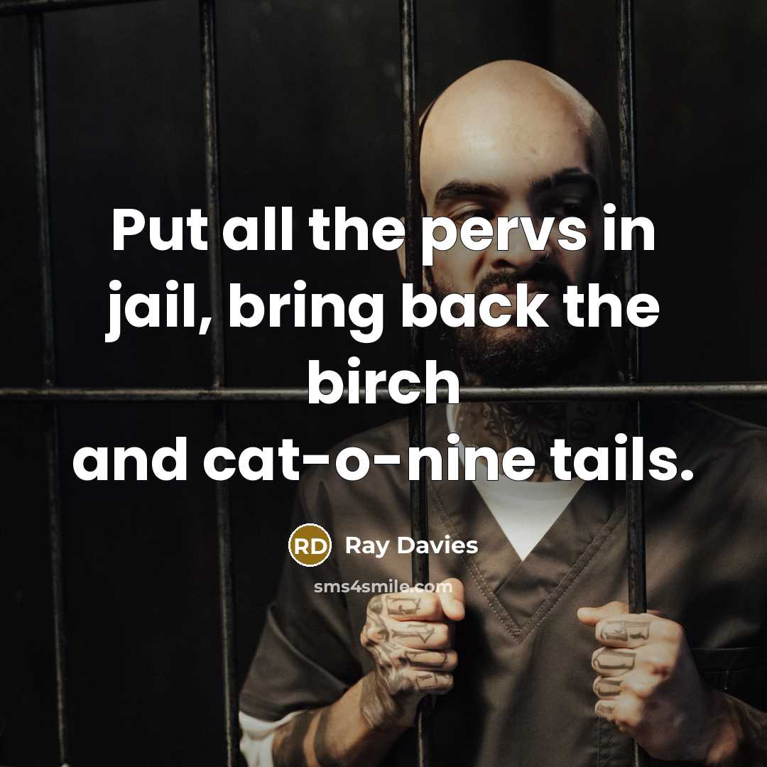 “Put all the pervs in jail, bring back the birch and cat-o-nine tails.” quote by Ray Davies