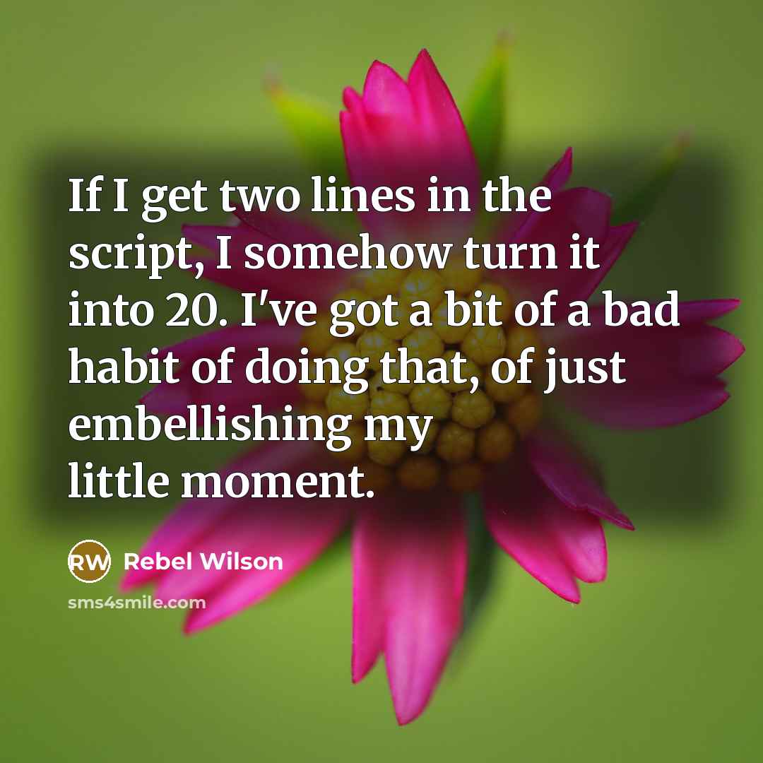 “If I get two lines in the script, I somehow turn it into 20. I've got a bit of a bad habit of doing that, of just embellishing my little moment.” quote by Rebel Wilson