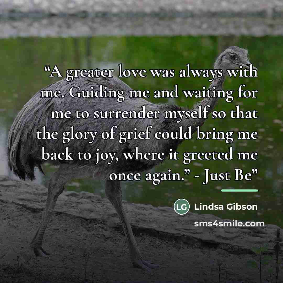 “A greater love was always with me. Guiding me and waiting for me to surrender myself so that the glory of grief could bring me back to joy, where it greeted me once again.” - Just Be” quote by Lindsa Gibson