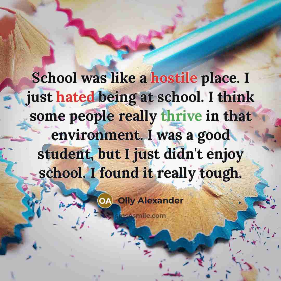 “School was like a hostile place. I just hated being at school. I think some people really thrive in that environment. I was a good student, but I just didn't enjoy school. I found it really tough.” quote by Olly Alexander
