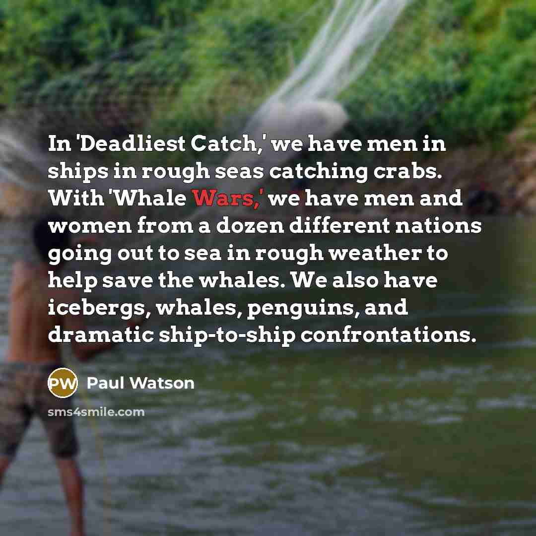 “In 'Deadliest Catch,' we have men in ships in rough seas catching crabs. With 'Whale Wars,' we have men and women from a dozen different nations going out to sea in rough weather to help save the whales. We also have icebergs, whales, penguins, and dramatic ship-to-ship confrontations.” quote by Paul Watson