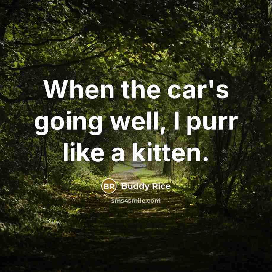 “When the car's going well, I purr like a kitten.” quote by Buddy Rice