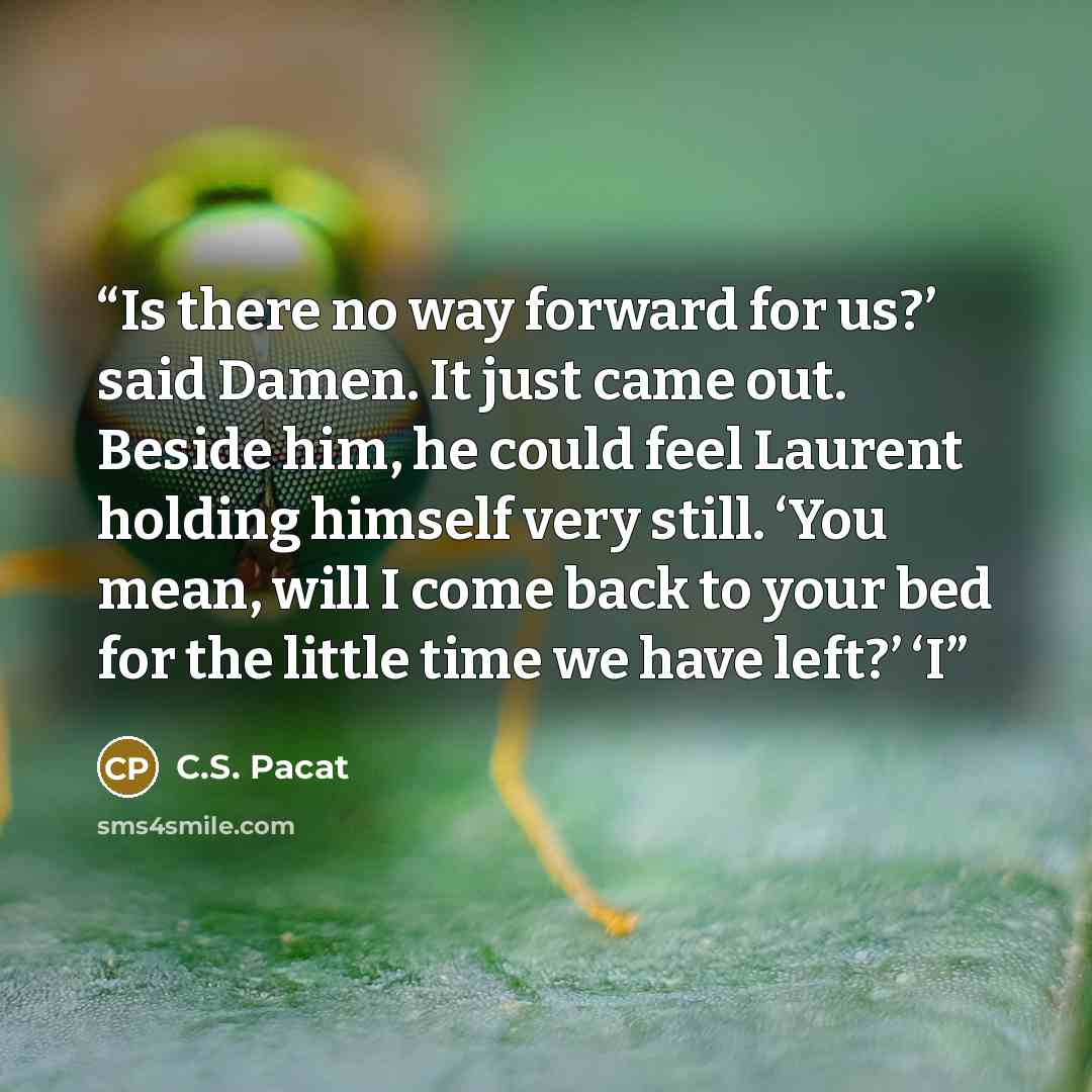 “Is there no way forward for us?’ said Damen. It just came out. Beside him, he could feel Laurent holding himself very still. ‘You mean, will I come back to your bed for the little time we have left?’ ‘I” quote by C.S. Pacat