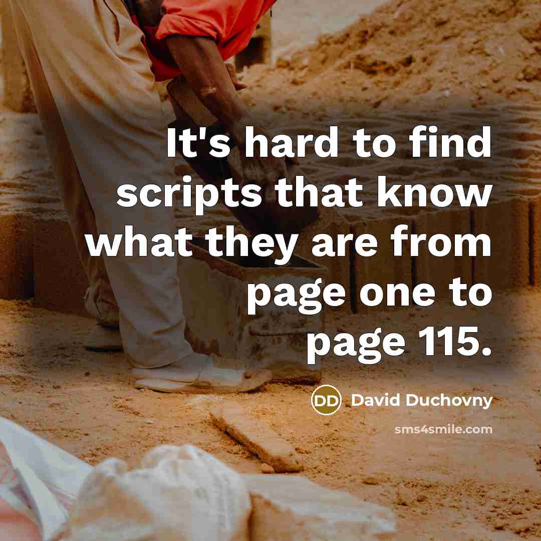 “It's hard to find scripts that know what they are from page one to page 115.” quote by David Duchovny