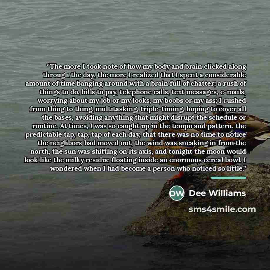 “The more I took note of how my body and brain clicked along through the day, the more I realized that I spent a considerable amount of time banging around with a brain full of chatter; a rush of things to do, bills to pay, telephone calls, text messages, e-mails, worrying about my job or my looks…” quote by Dee Williams