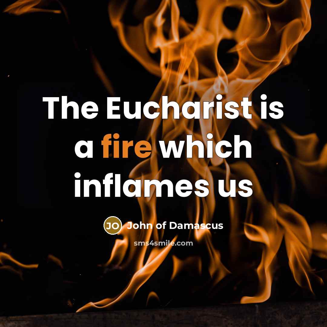 “The Eucharist is a fire which inflames us” quote by John of Damascus