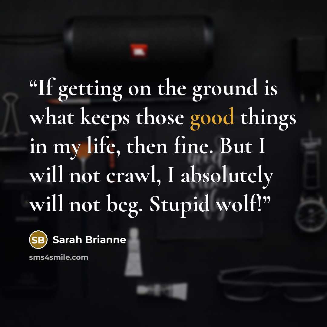 “If getting on the ground is what keeps those good things in my life, then fine. But I will not crawl, I absolutely will not beg. Stupid wolf!” quote by Sarah Brianne