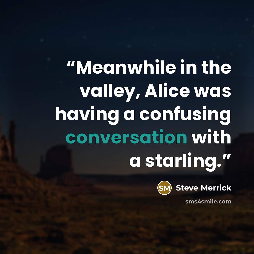 “Meanwhile in the valley, Alice was having a confusing conversation with a starling.” quote by Steve Merrick