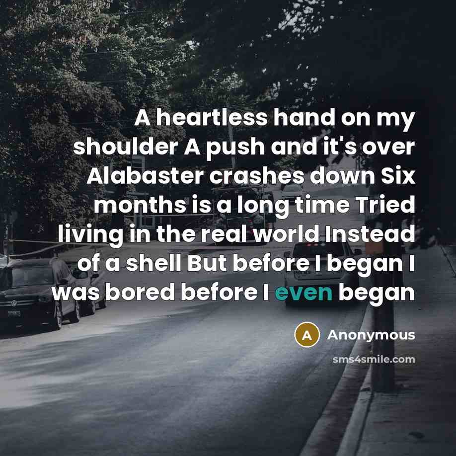 “A heartless hand on my shoulder A push and it's over Alabaster crashes down Six months is a long time Tried living in the real world Instead of a shell But before I began I was bored before I even began” quote by Anonymous