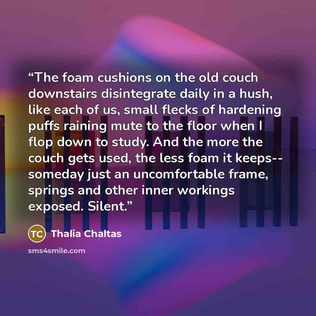 “The foam cushions on the old couch downstairs disintegrate daily in a hush, like each of us, small flecks of hardening puffs raining mute to the floor when I flop down to study. And the more the couch gets used, the less foam it keeps-- someday just an uncomfortable frame, springs and other inner…” quote by Thalia Chaltas