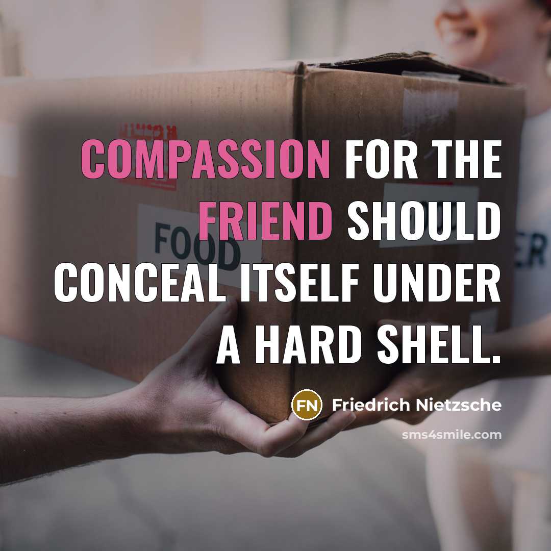 “Compassion for the friend should conceal itself under a hard shell.” quote by Friedrich Nietzsche