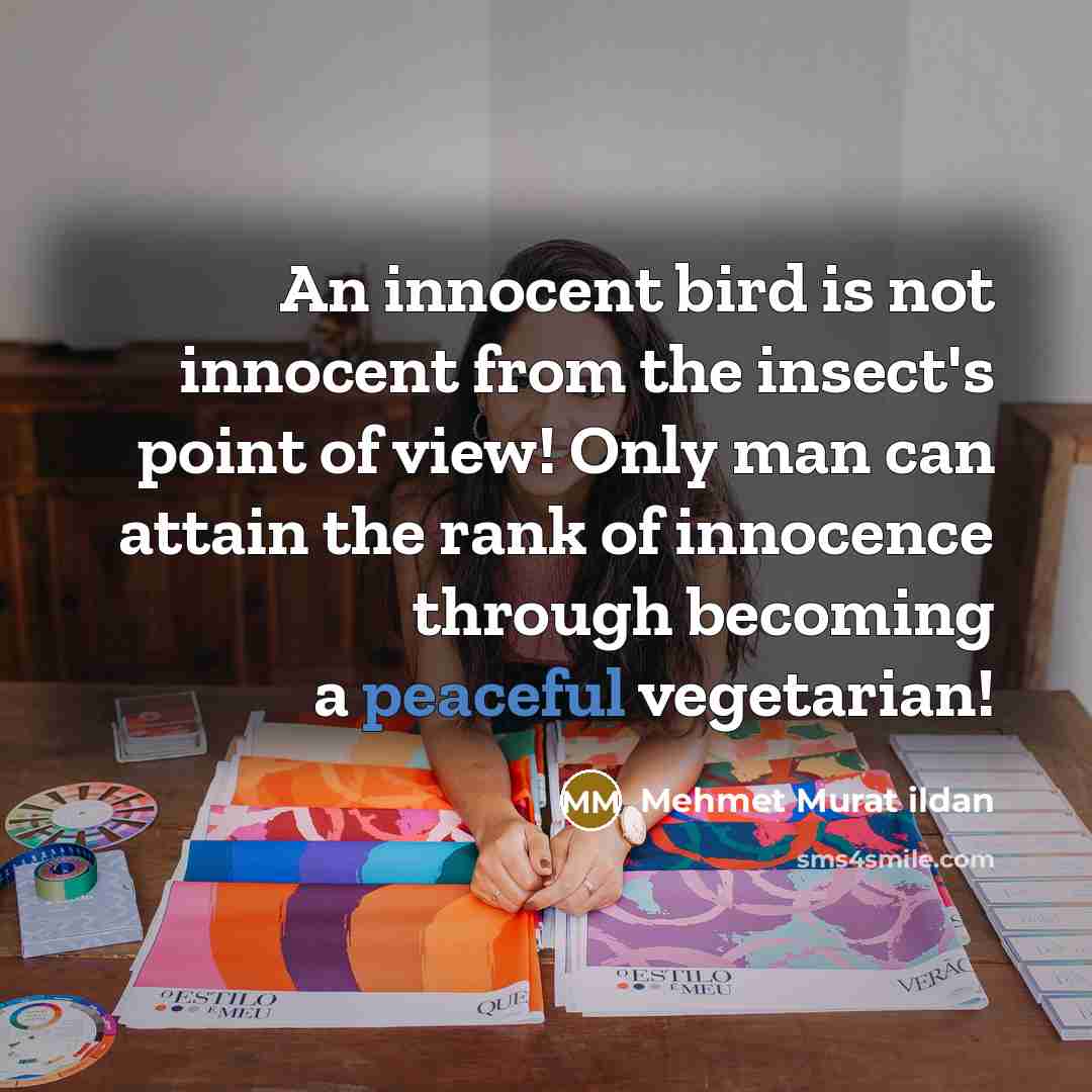 “An innocent bird is not innocent from the insect's point of view! Only man can attain the rank of innocence through becoming a peaceful vegetarian!” quote by Mehmet Murat Ildan