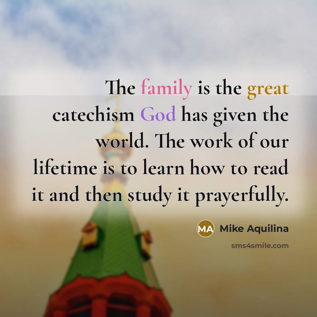 “The family is the great catechism God has given the world. The work of our lifetime is to learn how to read it and then study it prayerfully.” quote by Mike Aquilina