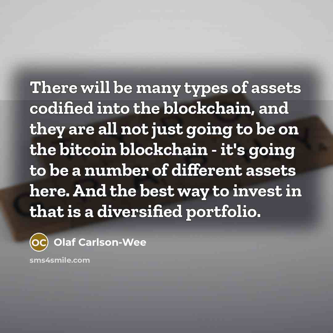 “There will be many types of assets codified into the blockchain, and they are all not just going to be on the bitcoin blockchain - it's going to be a number of different assets here. And the best way to invest in that is a diversified portfolio.” quote by Olaf Carlson-Wee