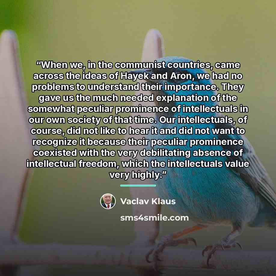 “When we, in the communist countries, came across the ideas of Hayek and Aron, we had no problems to understand their importance. They gave us the much needed explanation of the somewhat peculiar prominence of intellectuals in our own society of that time. Our intellectuals, of course, did not like…” quote by Vaclav Klaus