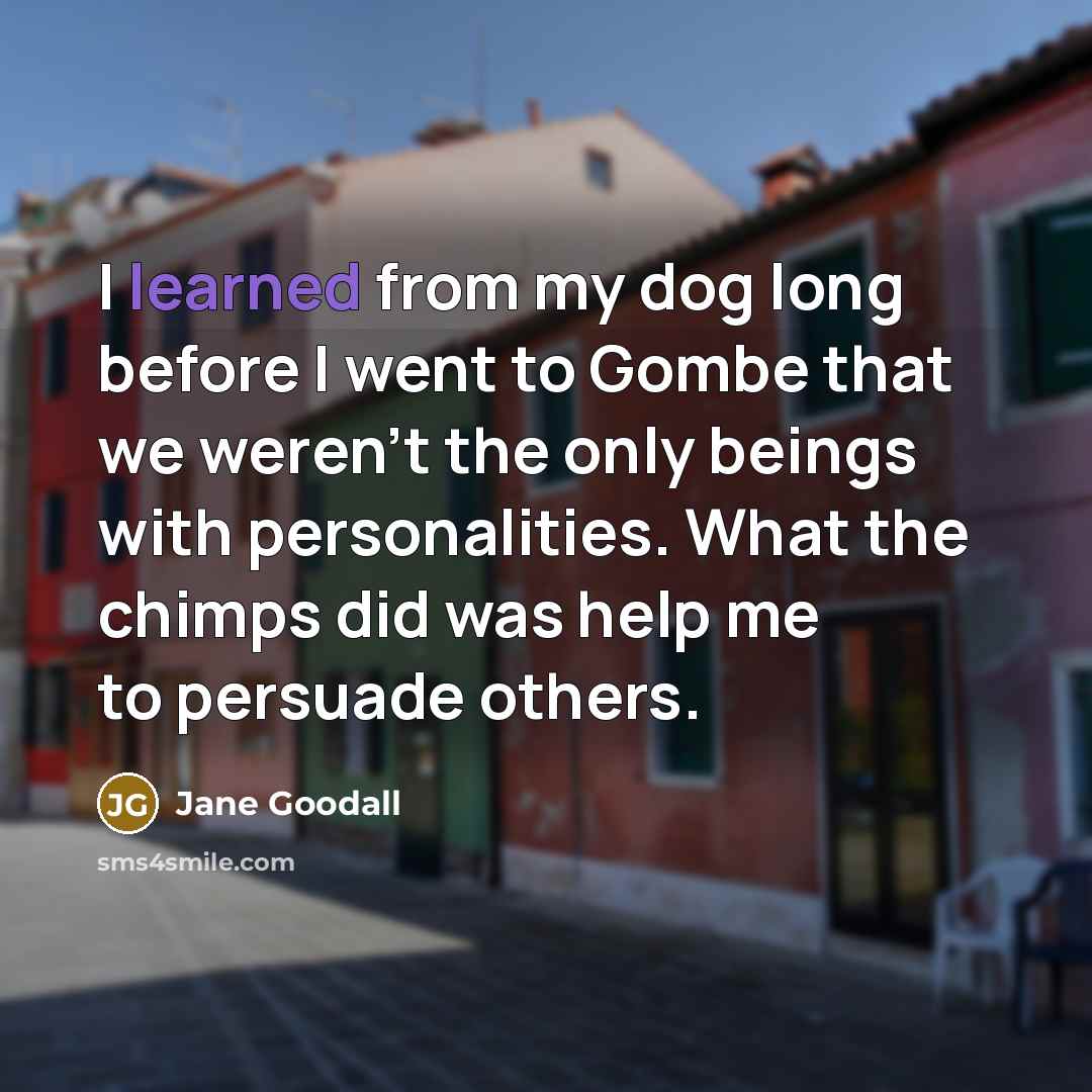 “I learned from my dog long before I went to Gombe that we weren't the only beings with personalities. What the chimps did was help me to persuade others.” quote by Jane Goodall