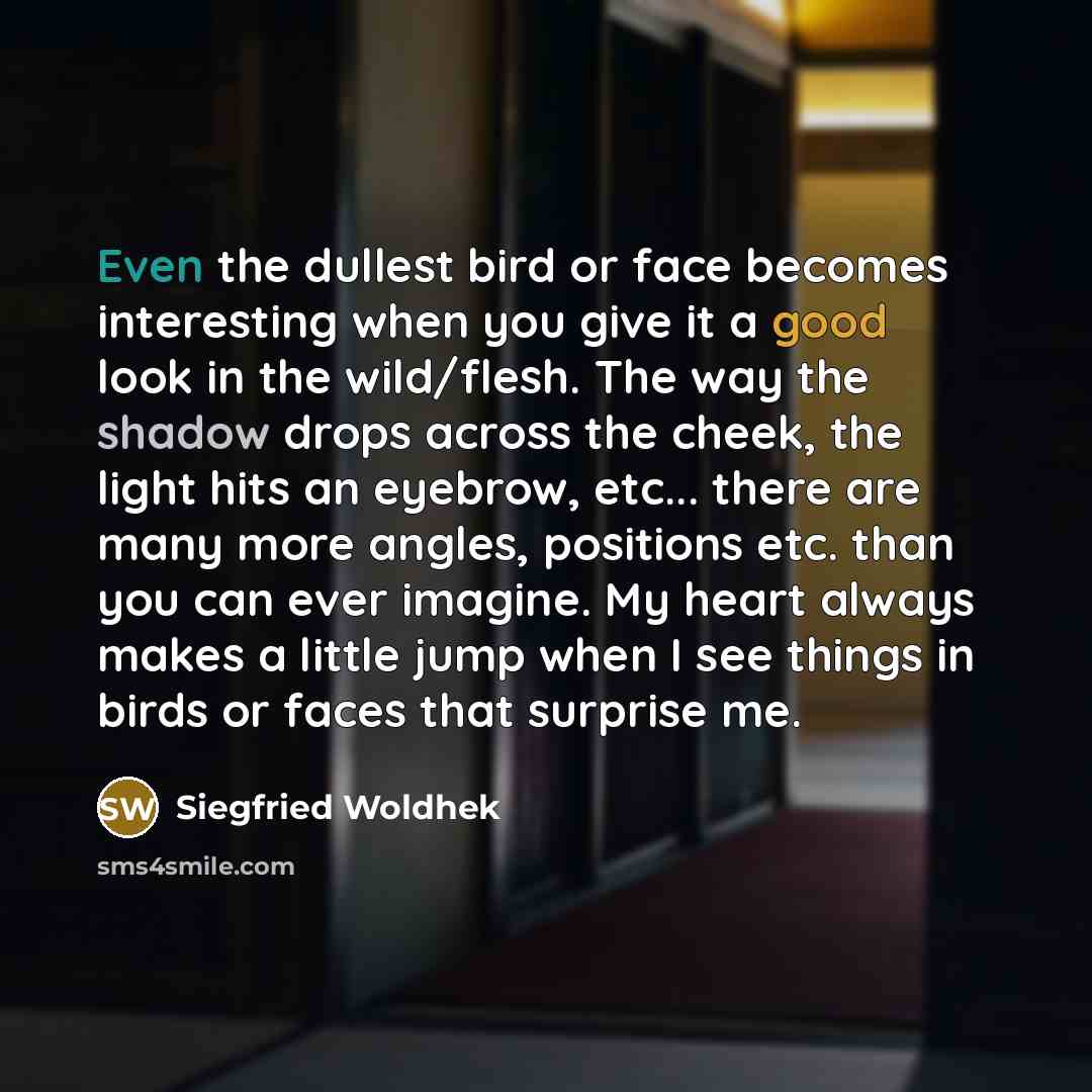 “Even the dullest bird or face becomes interesting when you give it a good look in the wild/flesh. The way the shadow drops across the cheek, the light hits an eyebrow, etc... there are many more angles, positions etc. than you can ever imagine. My heart always makes a little jump when I see things…” quote by Siegfried Woldhek
