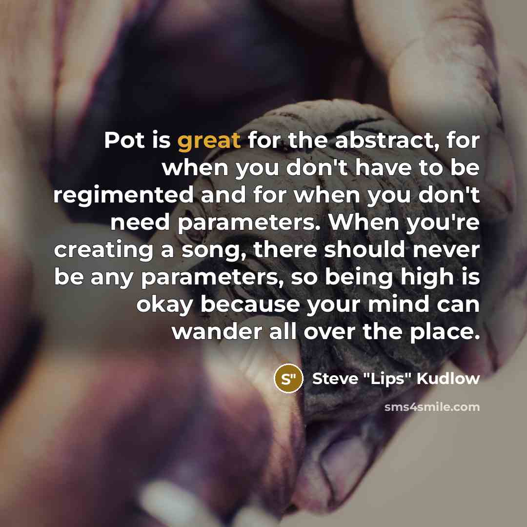 “Pot is great for the abstract, for when you don't have to be regimented and for when you don't need parameters. When you're creating a song, there should never be any parameters, so being high is okay because your mind can wander all over the place.” quote by Steve "Lips" Kudlow