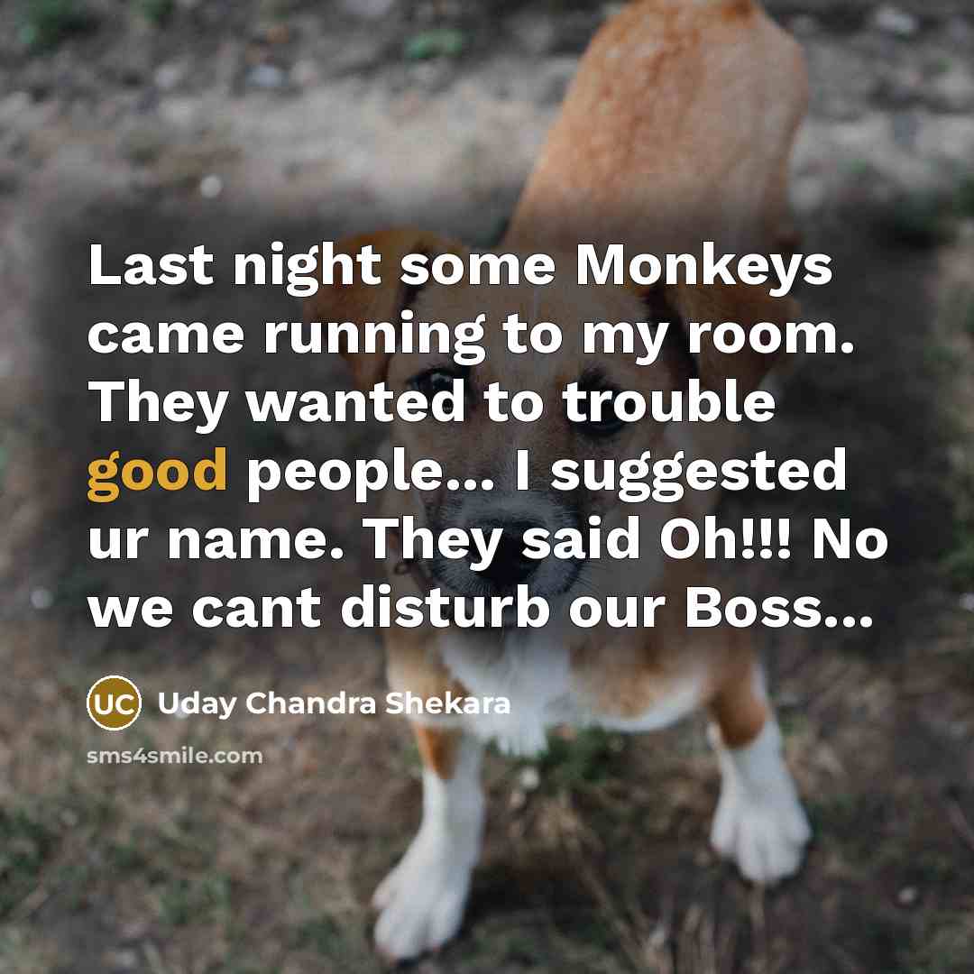 “Last night some Monkeys came running to my room. They wanted to trouble good people... I suggested ur name. They said Oh!!! No we cant disturb our Boss...” quote by Uday Chandra Shekara