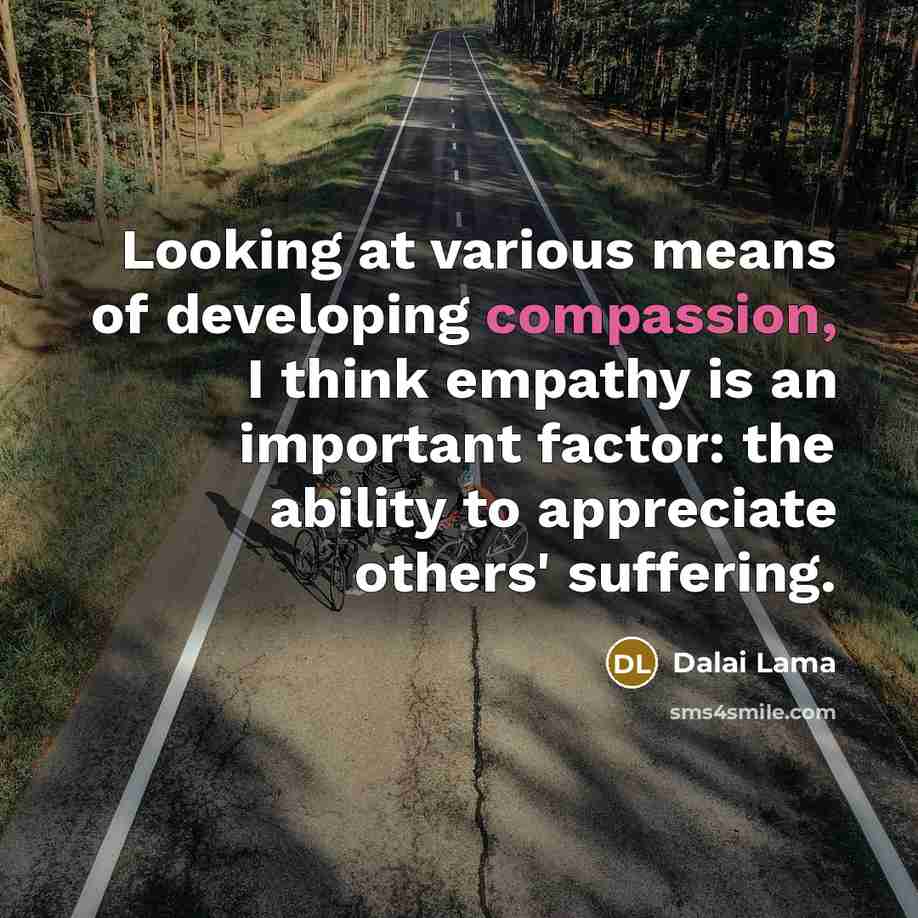 “Looking at various means of developing compassion, I think empathy is an important factor: the ability to appreciate others' suffering.” quote by Dalai Lama