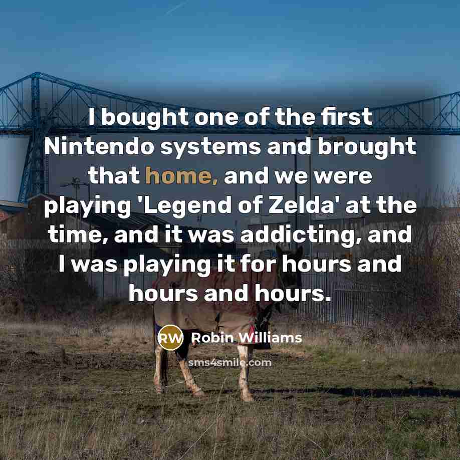 “I bought one of the first Nintendo systems and brought that home, and we were playing 'Legend of Zelda' at the time, and it was addicting, and I was playing it for hours and hours and hours.” quote by Robin Williams