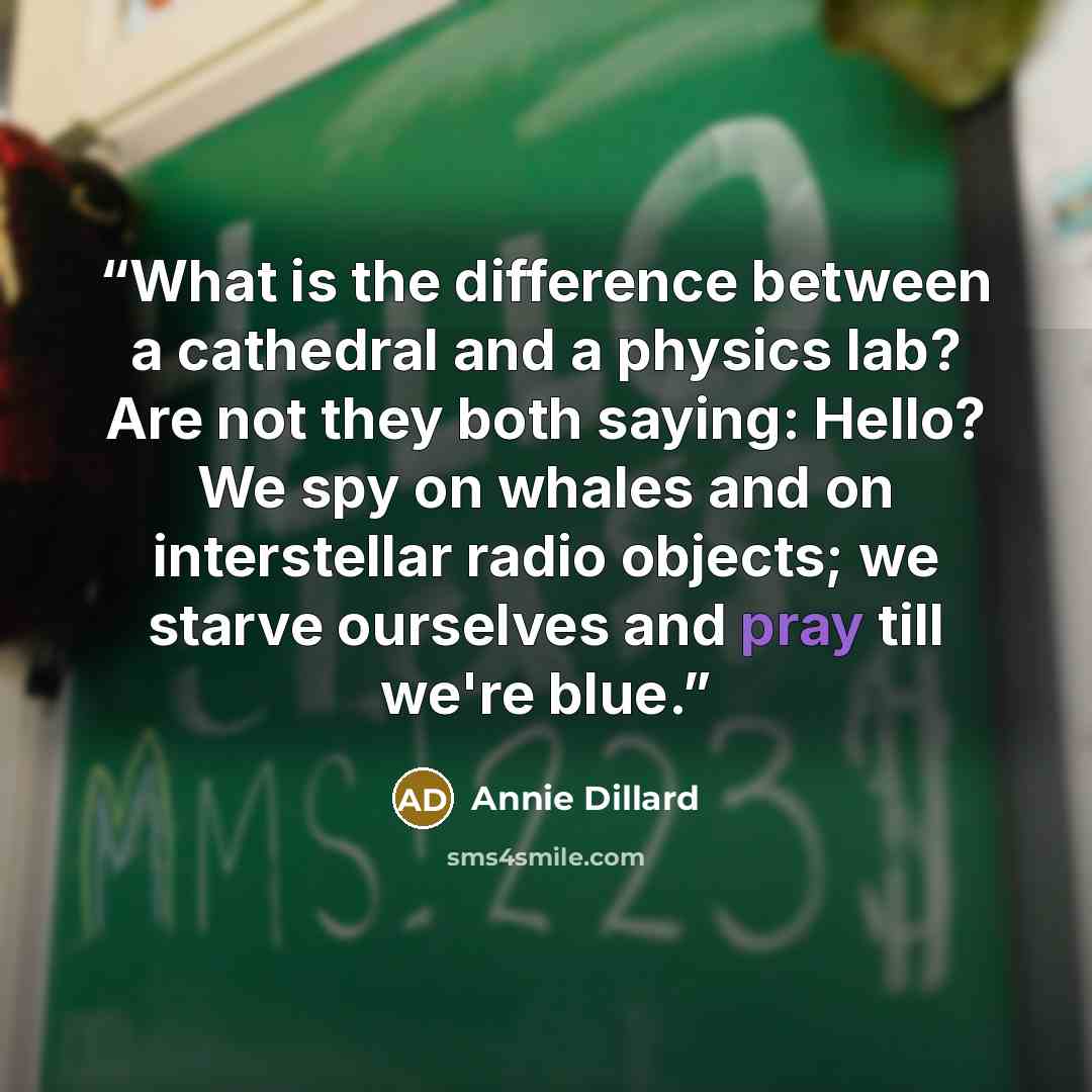 “What is the difference between a cathedral and a physics lab? Are not they both saying: Hello? We spy on whales and on interstellar radio objects; we starve ourselves and pray till we're blue.” quote by Annie Dillard