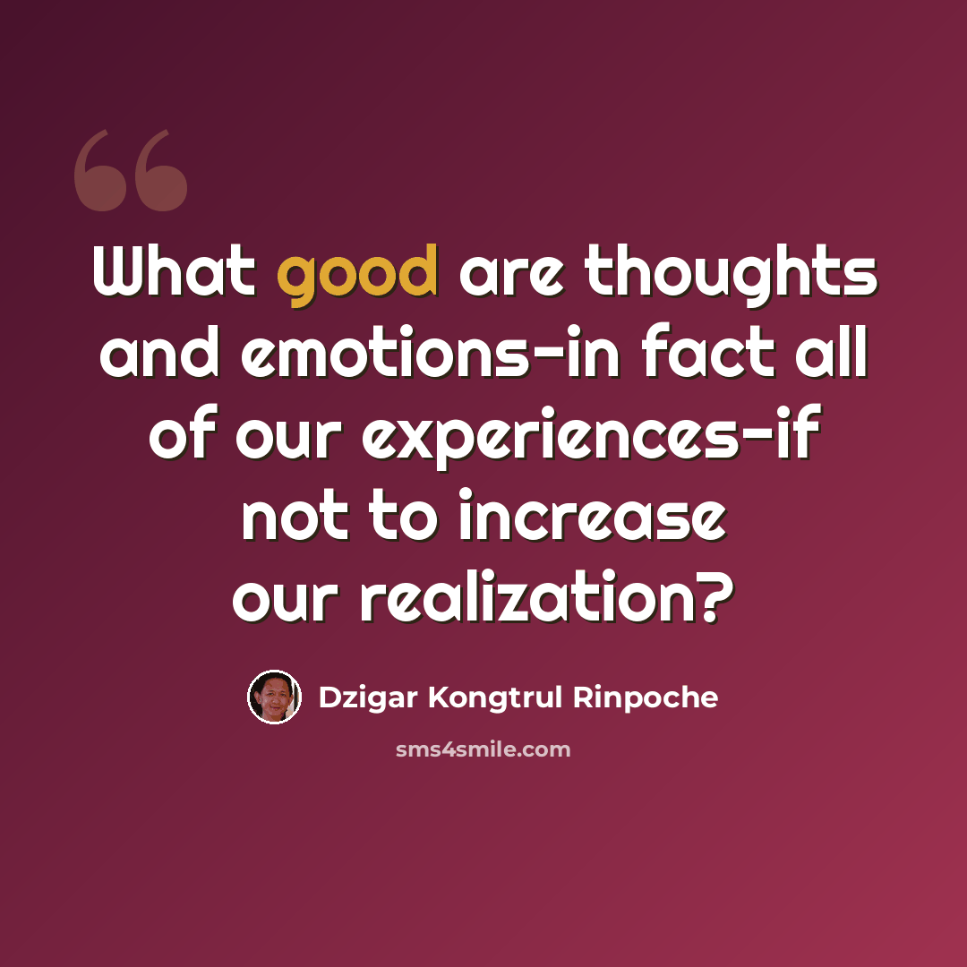 “What good are thoughts and emotions-in fact all of our experiences-if not to increase our realization?” quote by Dzigar Kongtrul Rinpoche