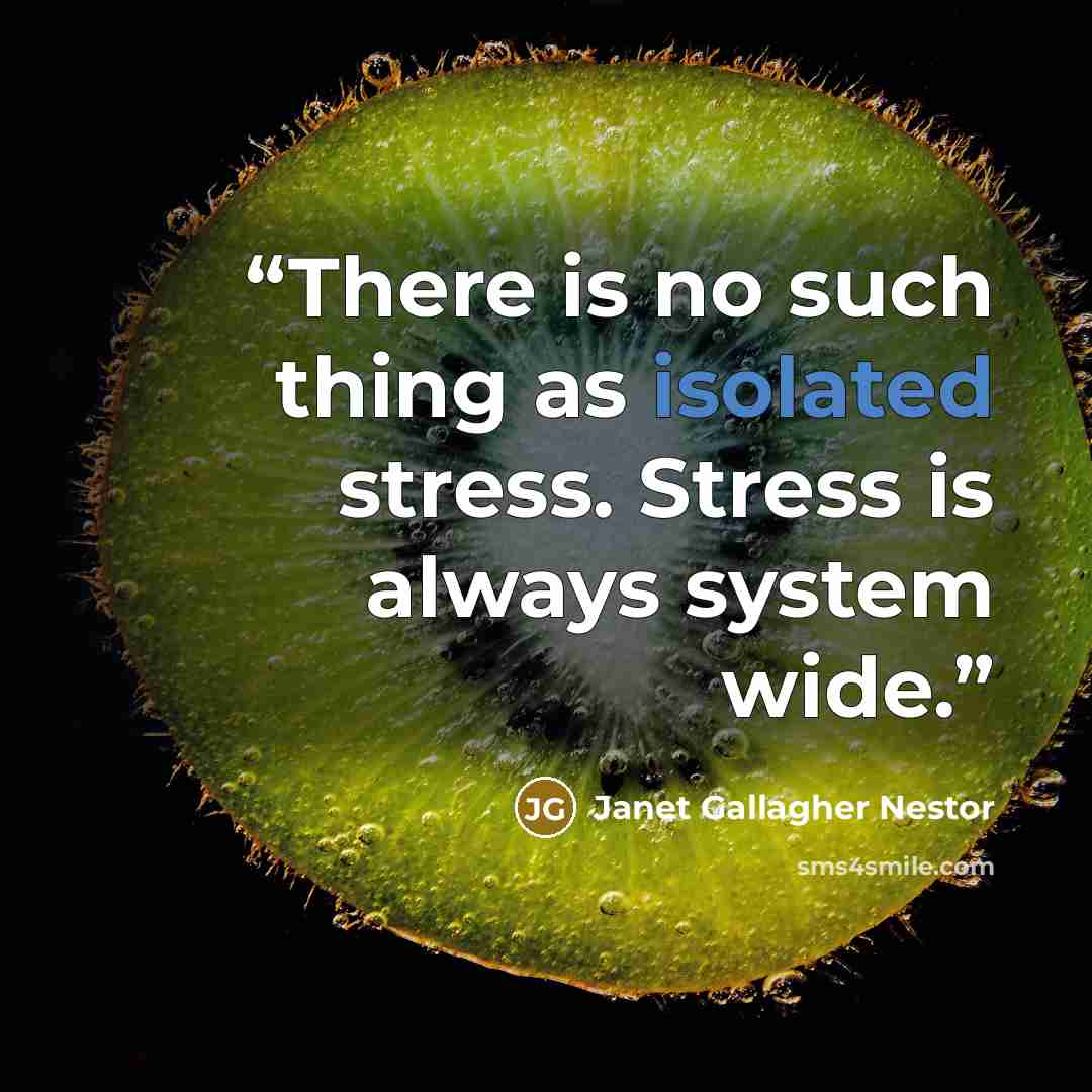 “There is no such thing as isolated stress. Stress is always system wide.” quote by Janet Gallagher Nestor