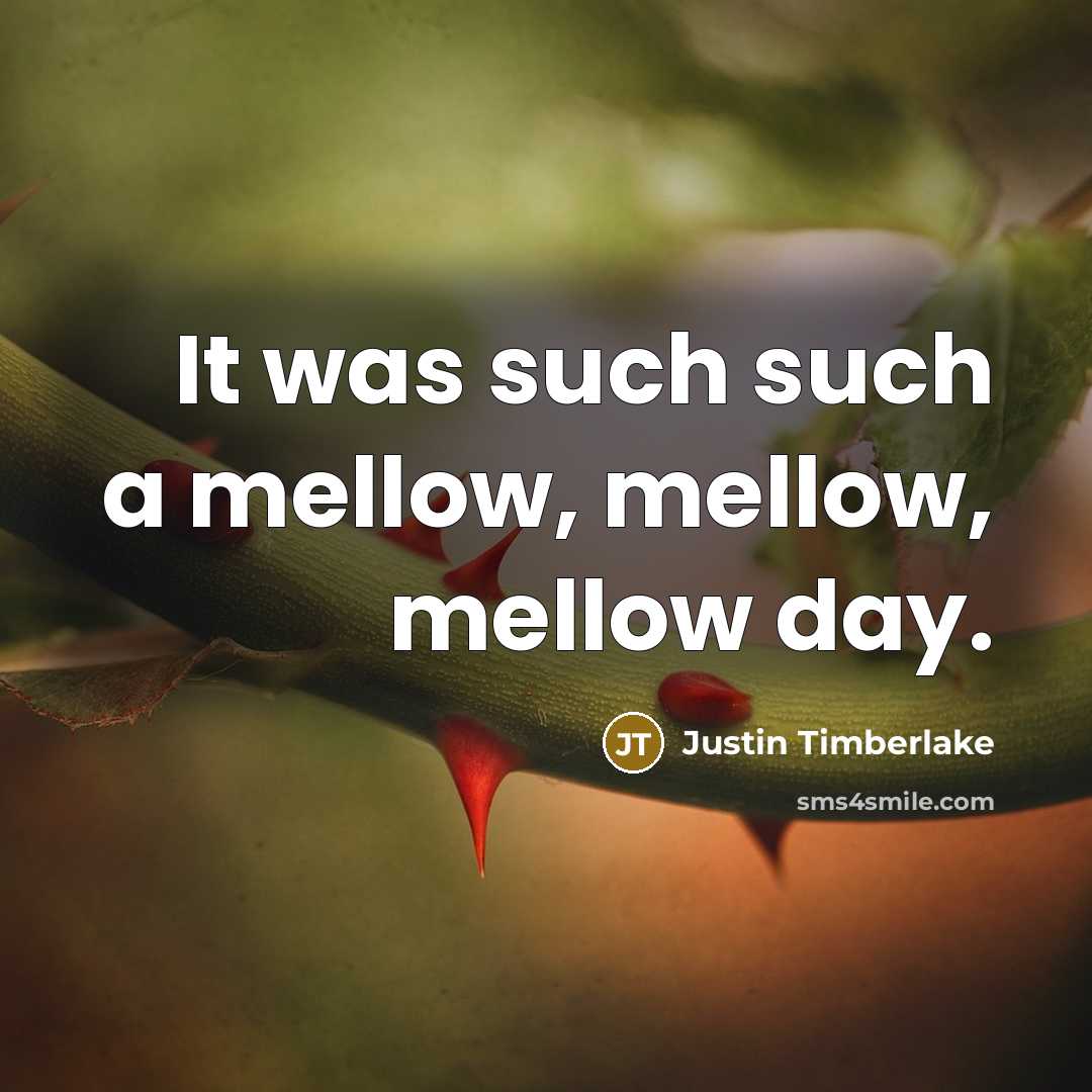 “It was such such a mellow, mellow, mellow day.” quote by Justin Timberlake
