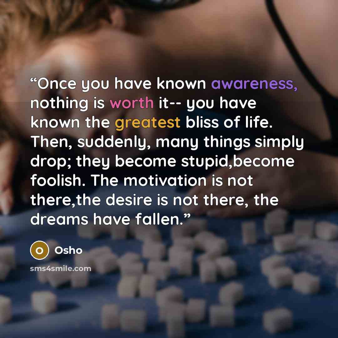 “Once you have known awareness, nothing is worth it-- you have known the greatest bliss of life. Then, suddenly, many things simply drop; they become stupid,become foolish. The motivation is not there,the desire is not there, the dreams have fallen.” quote by Osho