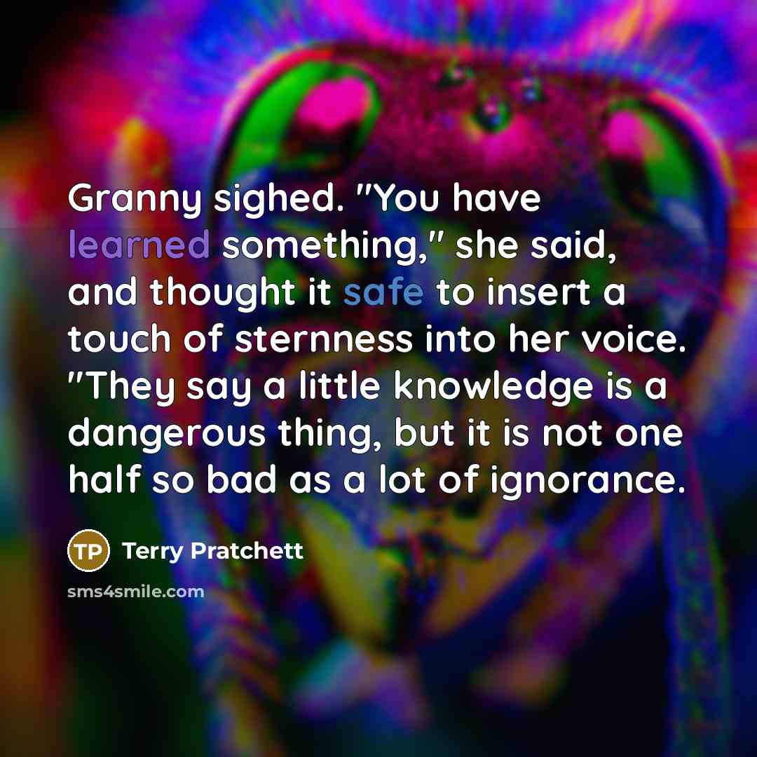 “Granny sighed. "You have learned something," she said, and thought it safe to insert a touch of sternness into her voice. "They say a little knowledge is a dangerous thing, but it is not one half so bad as a lot of ignorance.” quote by Terry Pratchett
