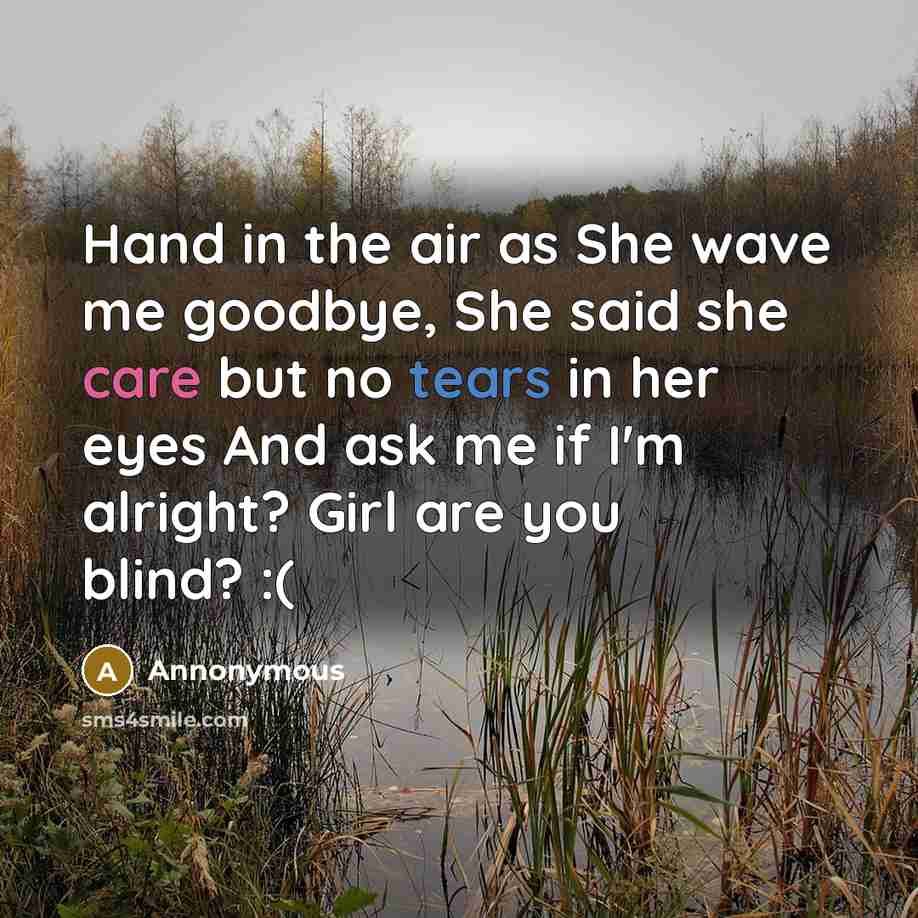 “Hand in the air as She wave me goodbye, She said she care but no tears in her eyes And ask me if I'm alright? Girl are you blind? :(” quote by Annonymous