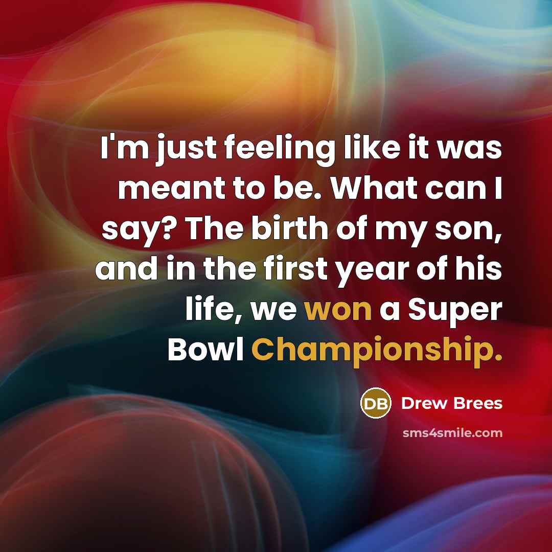 “I'm just feeling like it was meant to be. What can I say? The birth of my son, and in the first year of his life, we won a Super Bowl Championship.” quote by Drew Brees