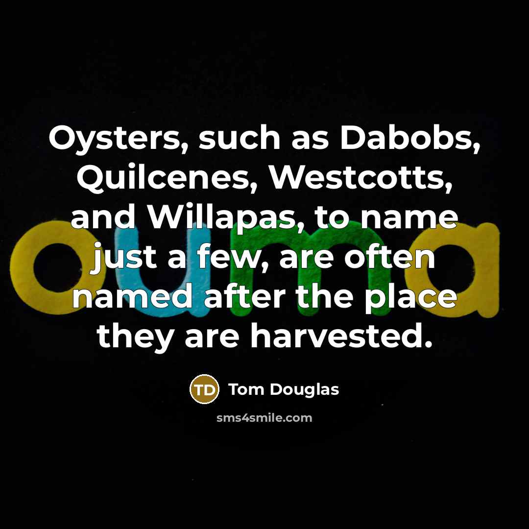 “Oysters, such as Dabobs, Quilcenes, Westcotts, and Willapas, to name just a few, are often named after the place they are harvested.” quote by Tom Douglas