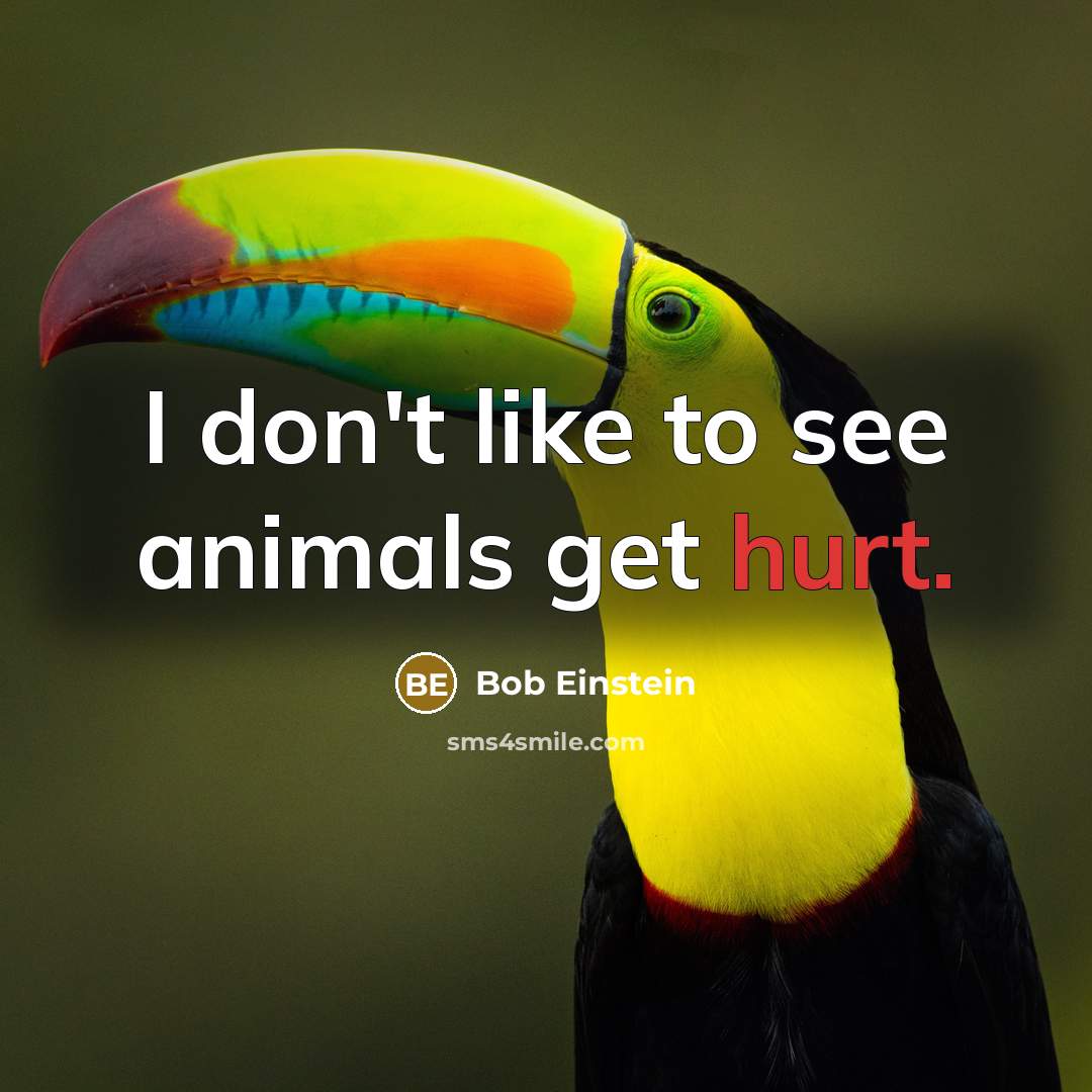 “I don't like to see animals get hurt.” quote by Bob Einstein
