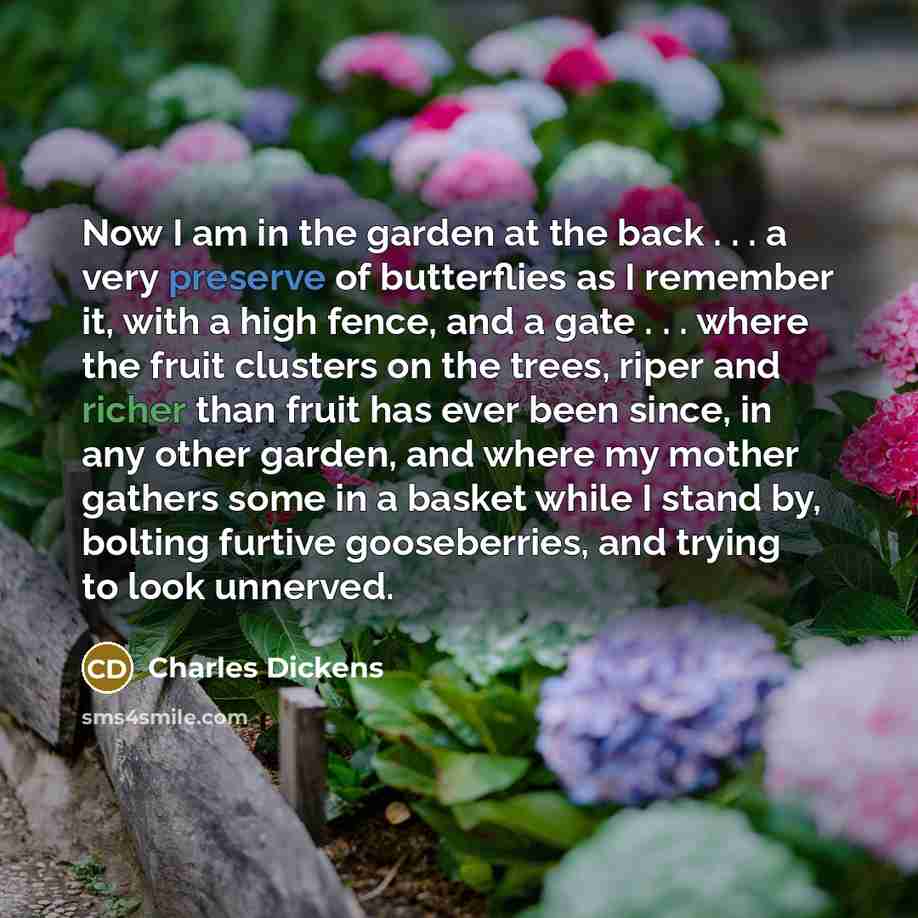 “Now I am in the garden at the back . . . a very preserve of butterflies as I remember it, with a high fence, and a gate . . . where the fruit clusters on the trees, riper and richer than fruit has ever been since, in any other garden, and where my mother gathers some in a basket while I stand by…” quote by Charles Dickens