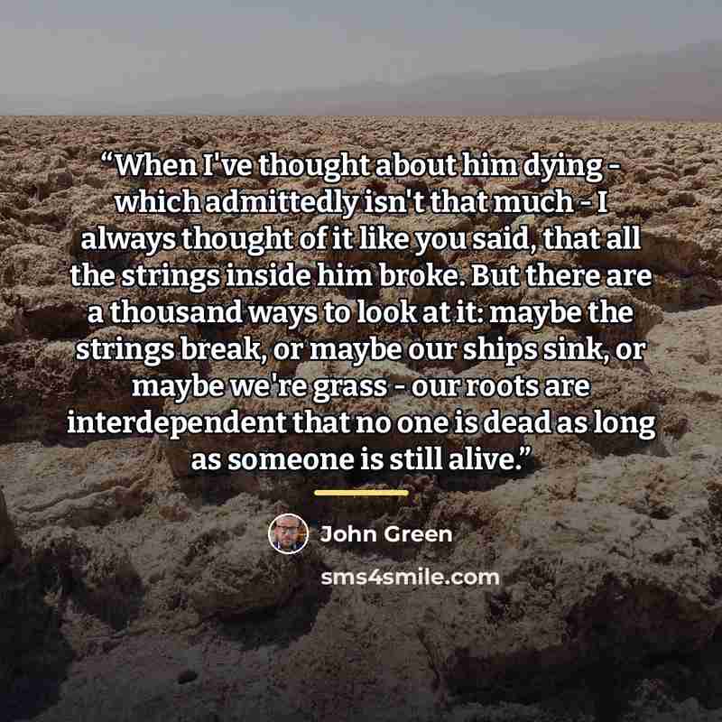 “When I've thought about him dying - which admittedly isn't that much - I always thought of it like you said, that all the strings inside him broke. But there are a thousand ways to look at it: maybe the strings break, or maybe our ships sink, or maybe we're grass - our roots are interdependent…” quote by John Green