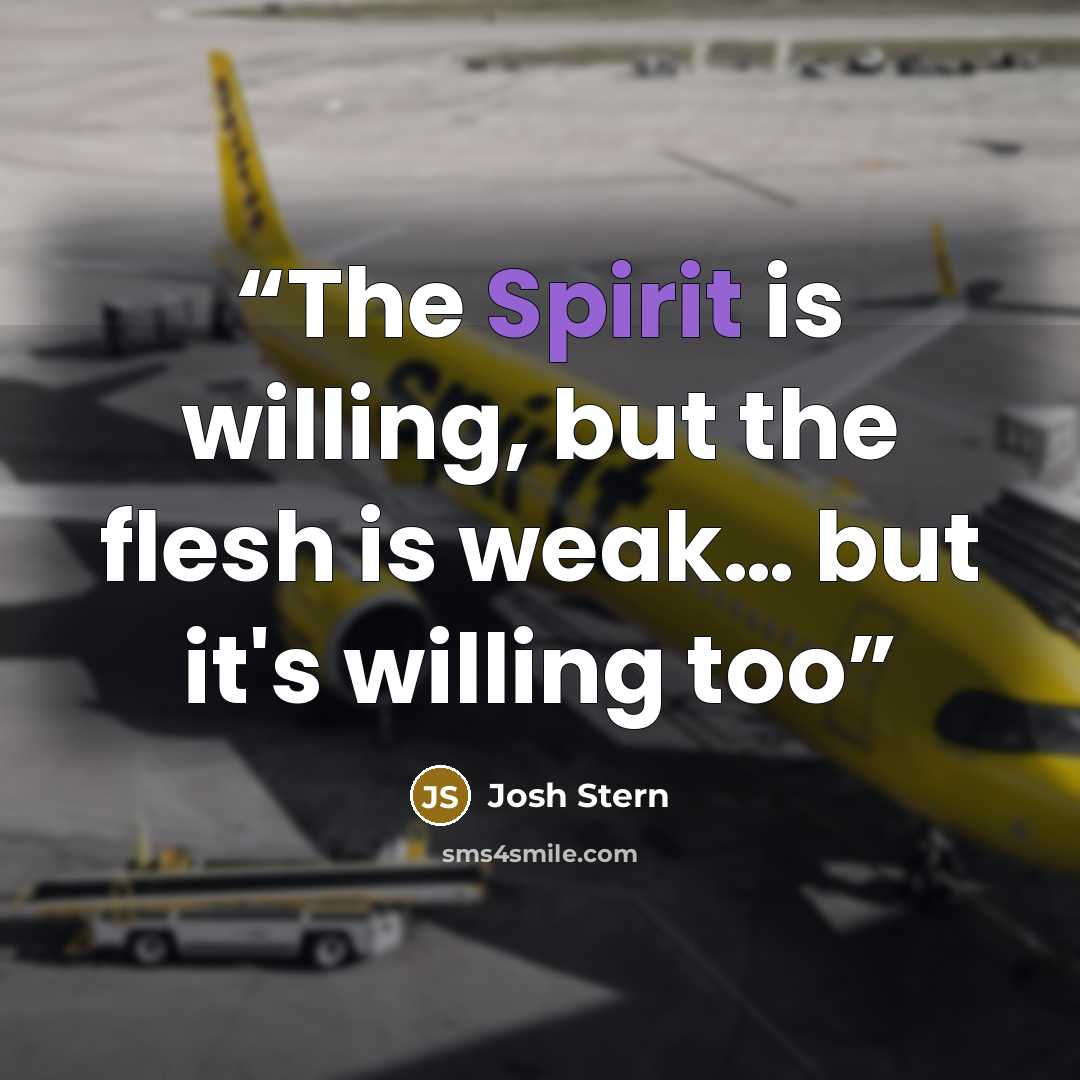 “The Spirit is willing, but the flesh is weak… but it's willing too” quote by Josh Stern