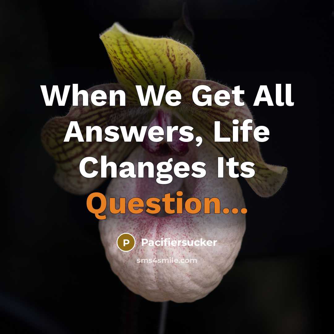 “When We Get All Answers, Life Changes Its Question...” quote by Pacifiersucker