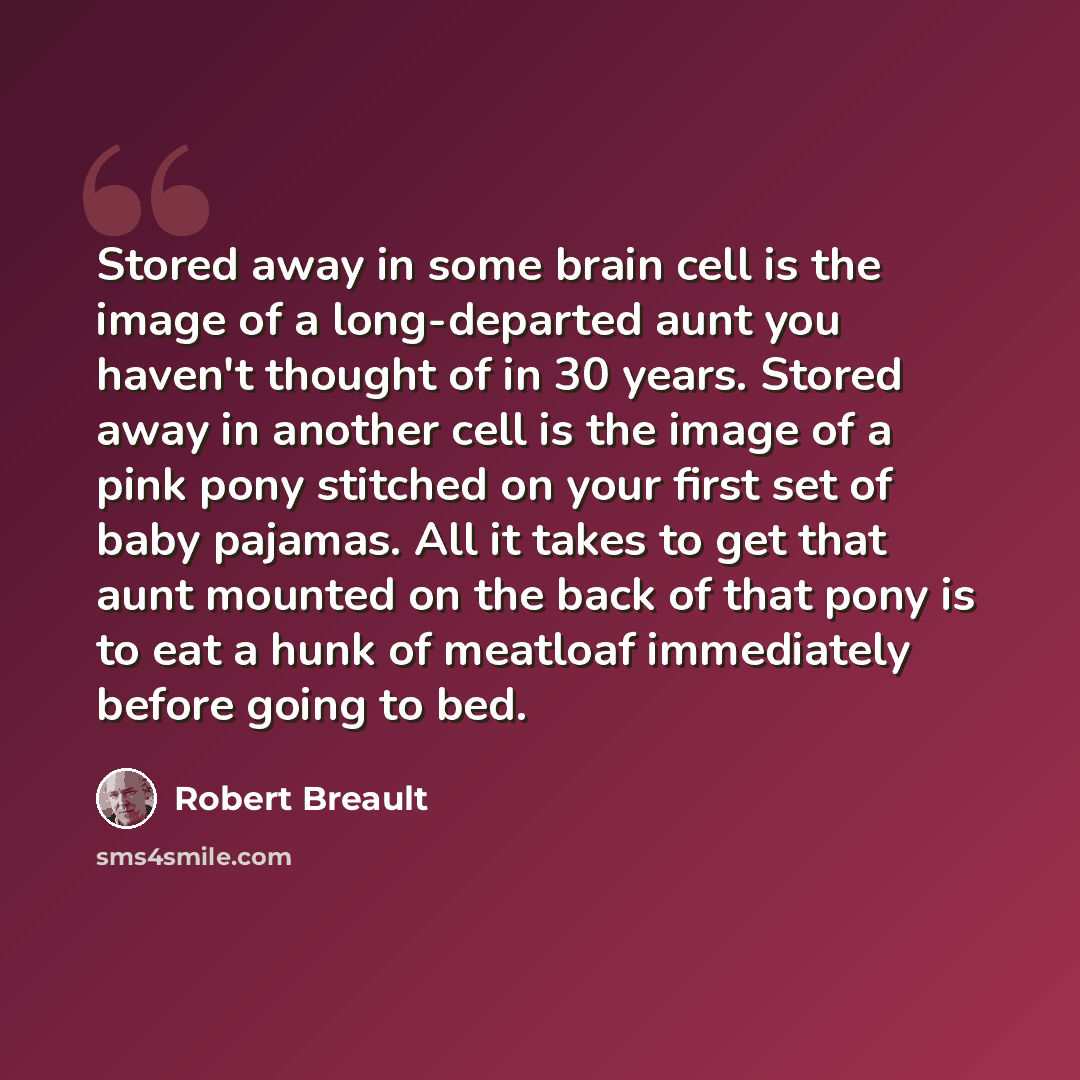 “Stored away in some brain cell is the image of a long-departed aunt you haven't thought of in 30 years. Stored away in another cell is the image of a pink pony stitched on your first set of baby pajamas. All it takes to get that aunt mounted on the back of that pony is to eat a hunk of meatloaf…” quote by Robert Breault