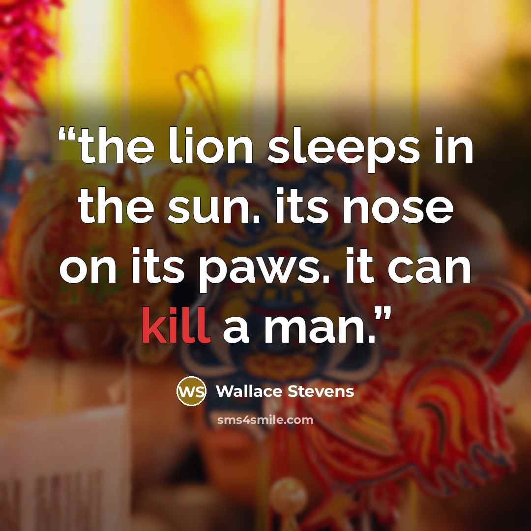 “the lion sleeps in the sun. its nose on its paws. it can kill a man.” quote by Wallace Stevens