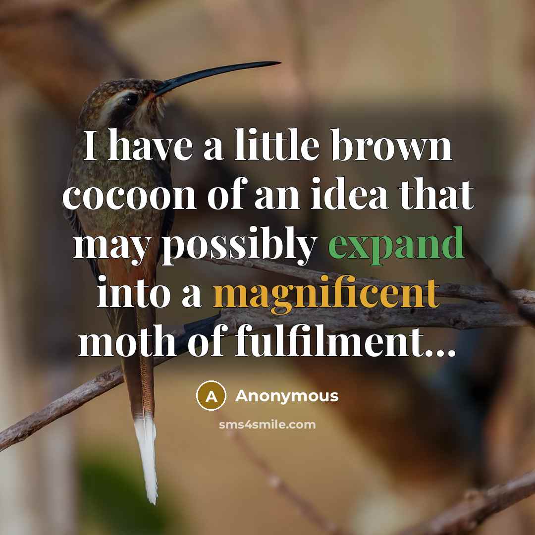 “I have a little brown cocoon of an idea that may possibly expand into a magnificent moth of fulfilment…” quote by Anonymous